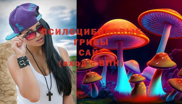 PSILOCYBIN Верхний Тагил